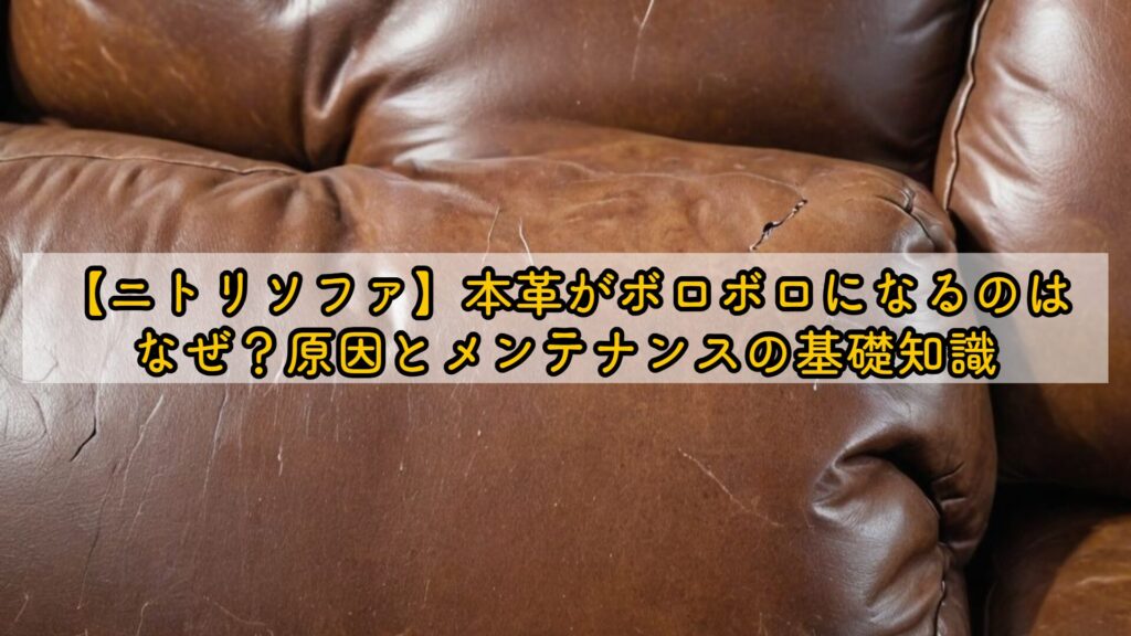 【ニトリソファ】本革がボロボロになるのはなぜ?原因とメンテナンスの基礎知識