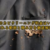 スーツのカビクリーニング料金はいくら?取れる範囲と頼み方を徹底解説