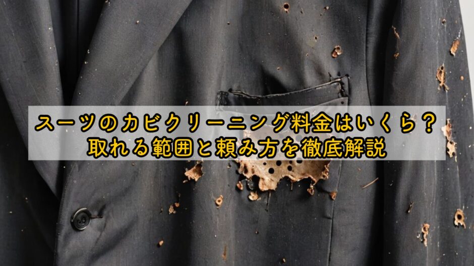 スーツのカビクリーニング料金はいくら？取れる範囲と頼み方を徹底解説