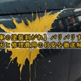 【車の塗装剥がれ】パリパリする原因と修理費用の目安を徹底解説