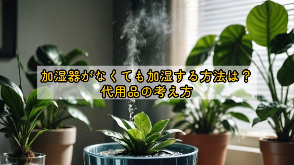 加湿器がなくても加湿する方法は?代用品の考え方