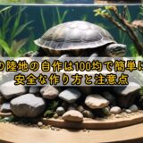 亀の陸地の自作は100均で簡単に！安全な作り方と注意点